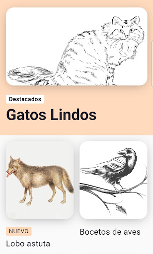 Aprende a Dibujar Animales