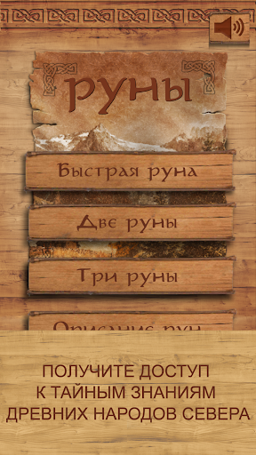 Руны - карманный советник